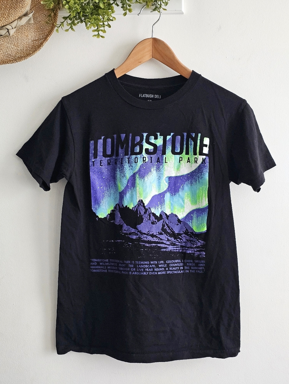 Flatbush Deli Tombstone Park Graphic Tee Aurora Northern Lights Small